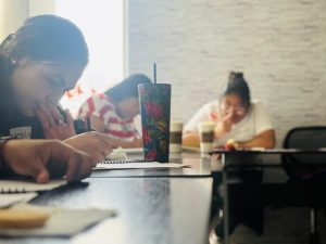 tallerapia-galeria- (6)